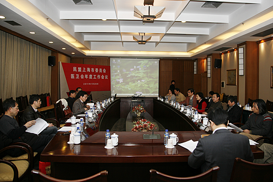 民盟市委医药卫生委员会召开2010年度工作总